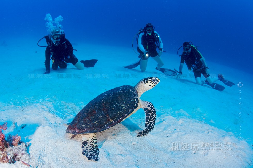 泰國 普吉島游艇租賃 斯米蘭群島